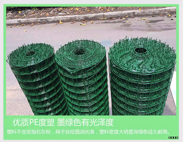 荷兰网